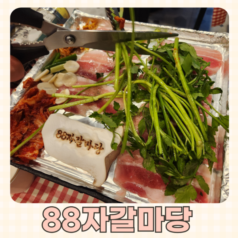 88자갈마당 이미지