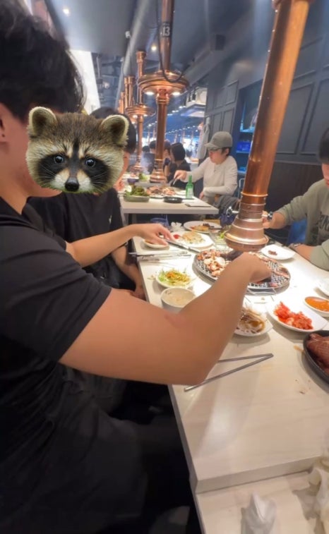 서프라이즈보드카페 이미지