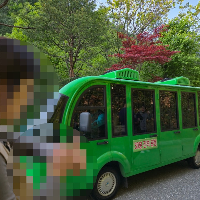 강릉솔향도시락 이미지