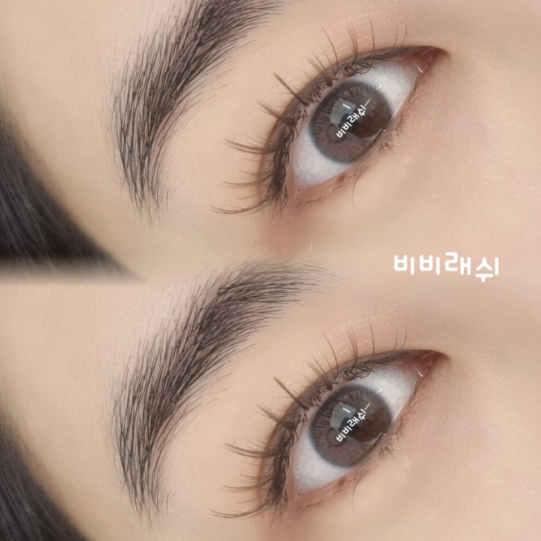 비비래쉬 이미지