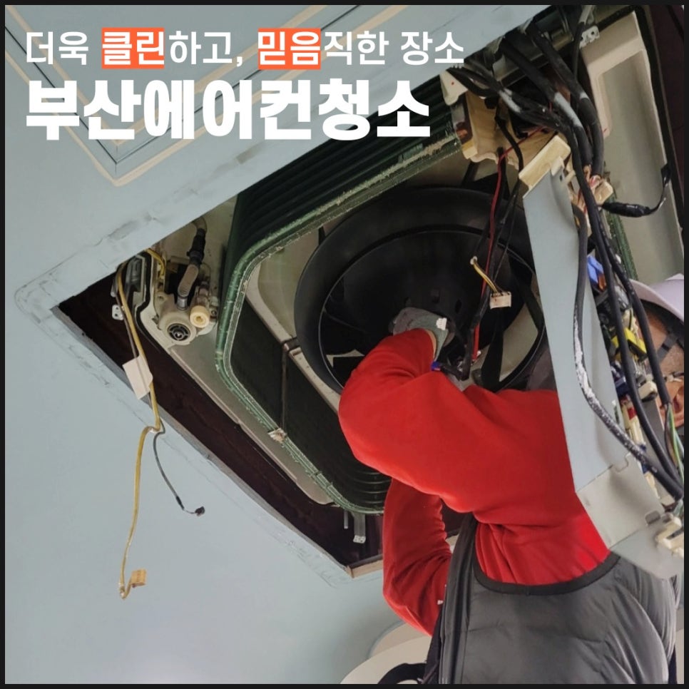 부산세제 이미지