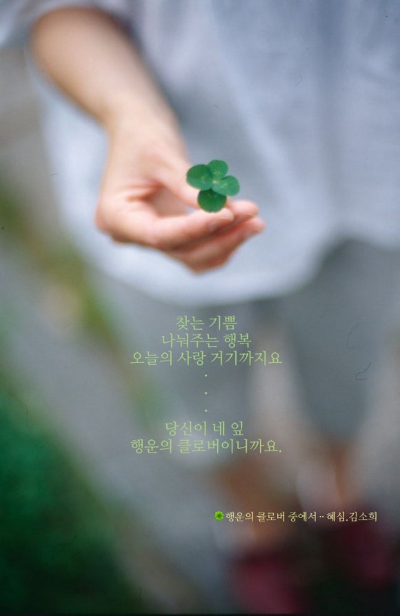 행운 이미지