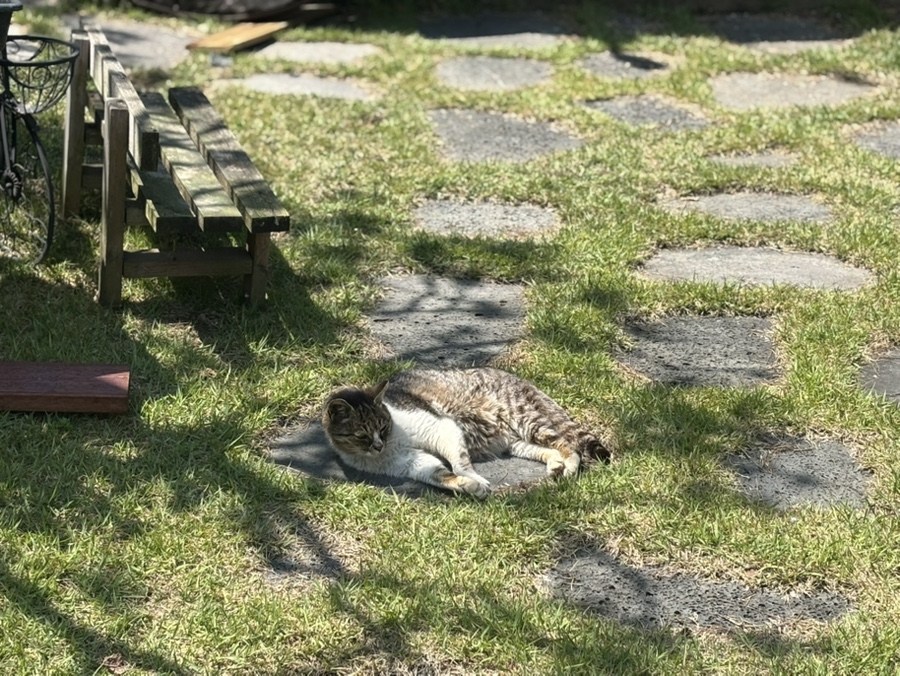 오뜨몽드 이미지