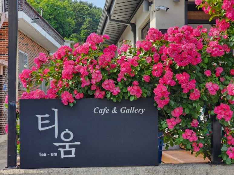 티움카페&갤러리 이미지