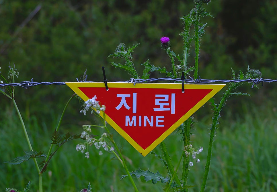 생창리 이미지