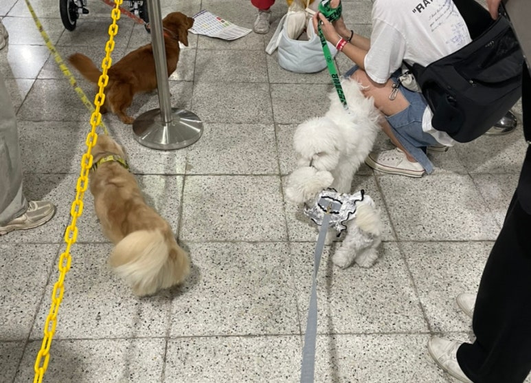 (주)메가투어 이미지