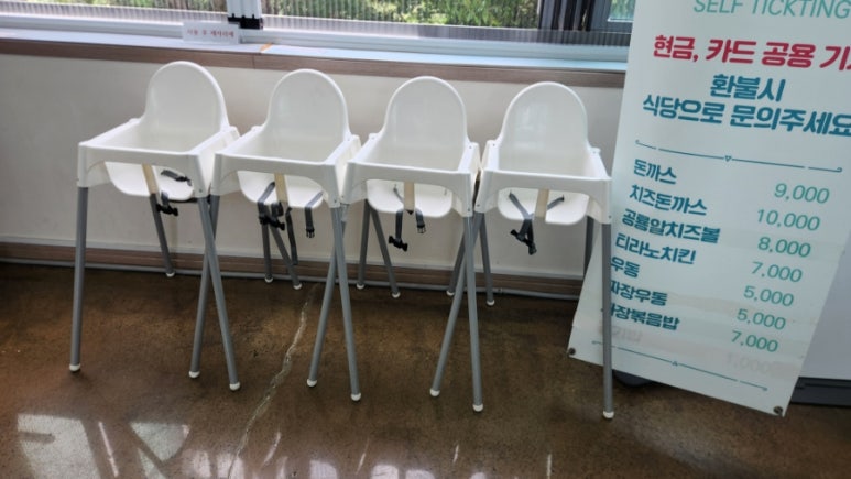 티라노식당 이미지