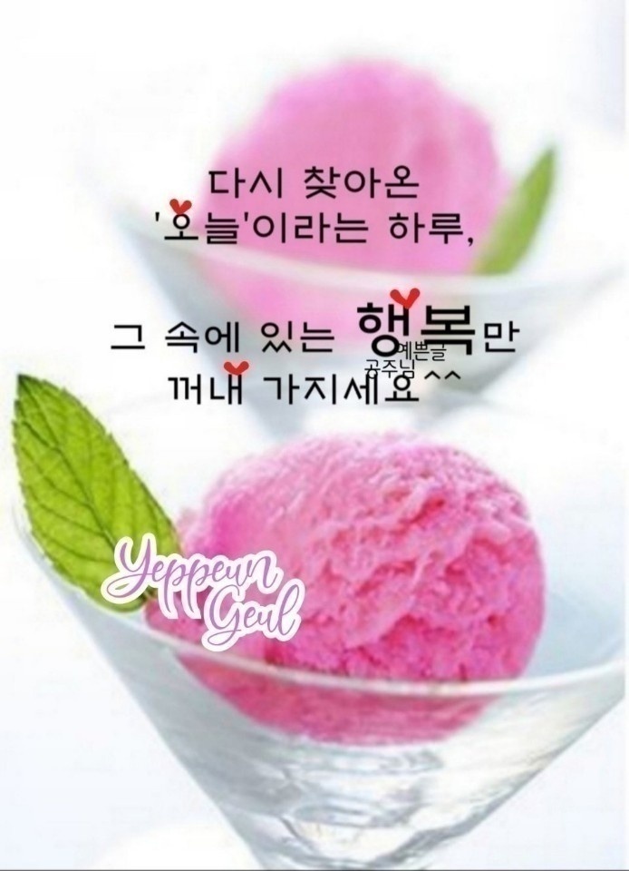 수지상사 이미지