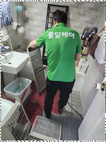 풀잎시스템 이미지