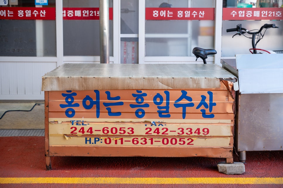 목포홍어 이미지