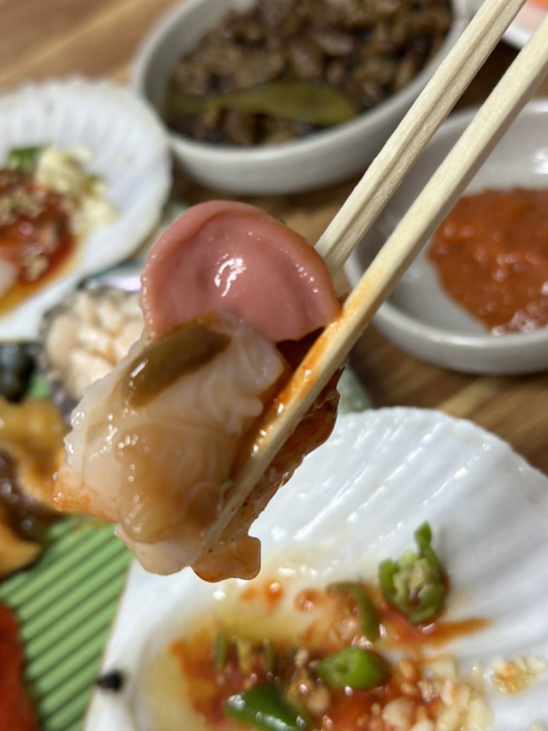 죽도해삼 이미지