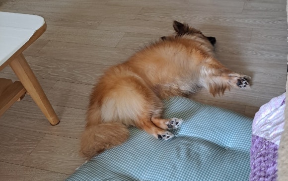 동네탑 이미지