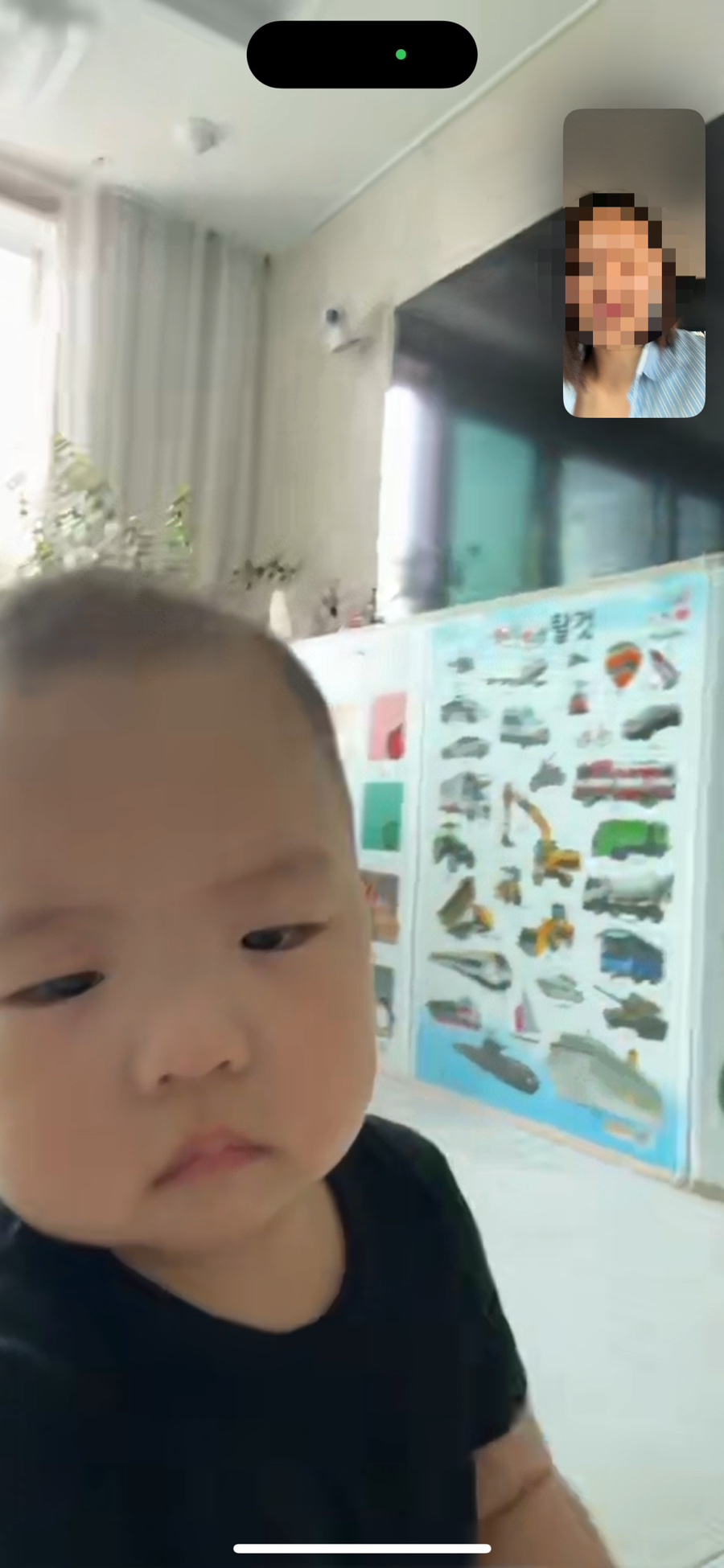 엠엘피 이미지