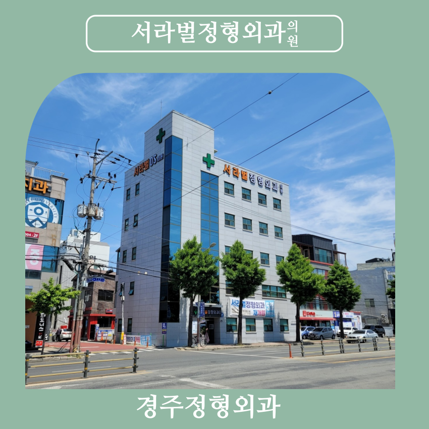 서라벌정형외과 이미지