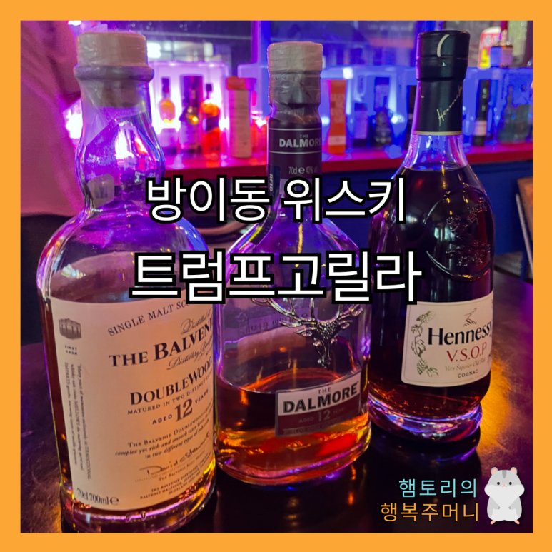 트럼프고릴라 이미지