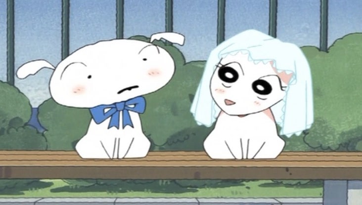 모리엠포티 이미지