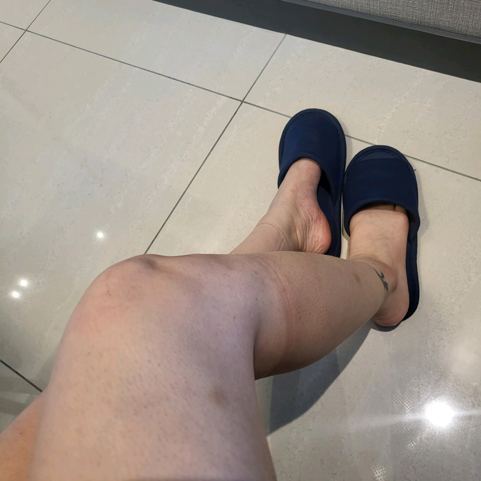 다모여라 이미지