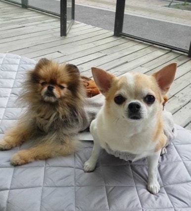 코코플레이존 이미지