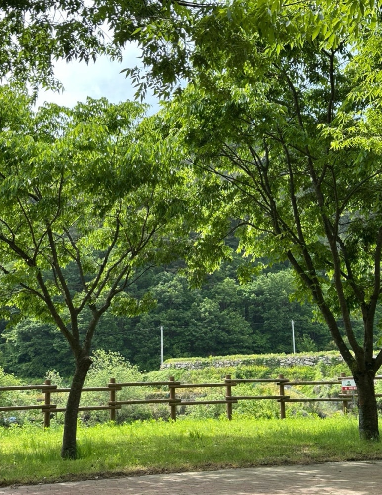 증산수도계곡캠핑장 이미지