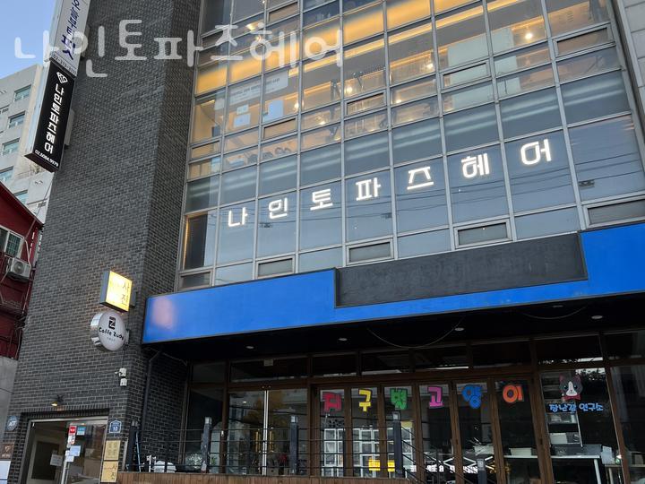 나인헤어 이미지