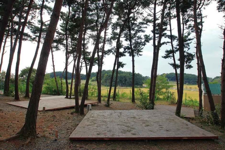 늘푸른캠핑장 이미지