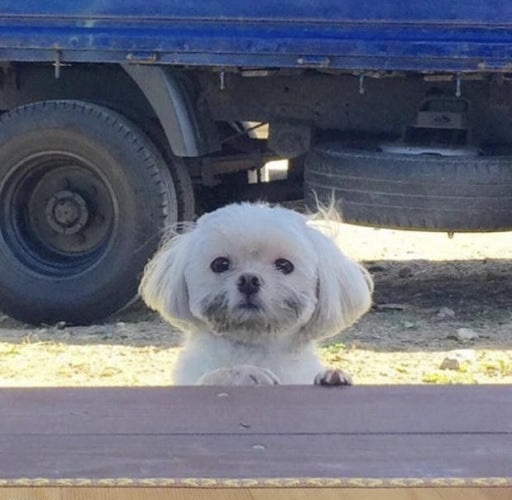 먼데 이미지