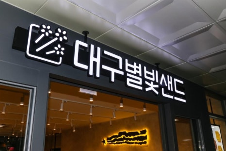 샌드베어 이미지
