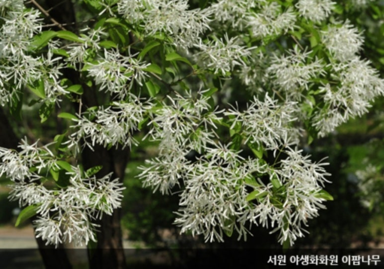 한밭1호 이미지