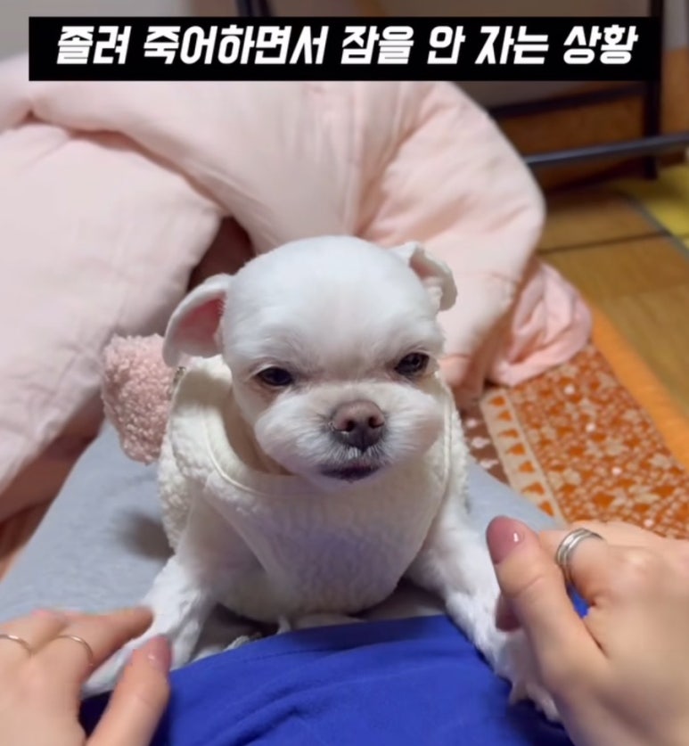 다 이미지