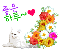 카페산동0157 이미지