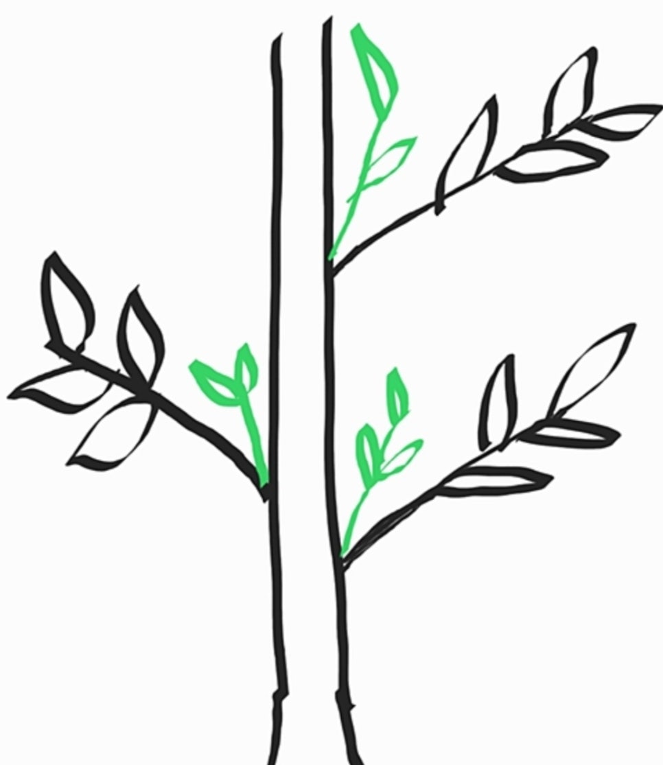 방울여행사 이미지