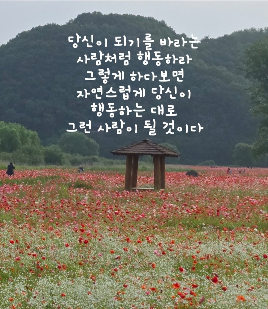 너랑나랑 이미지