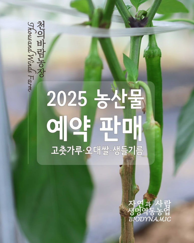 천의바람농장 이미지