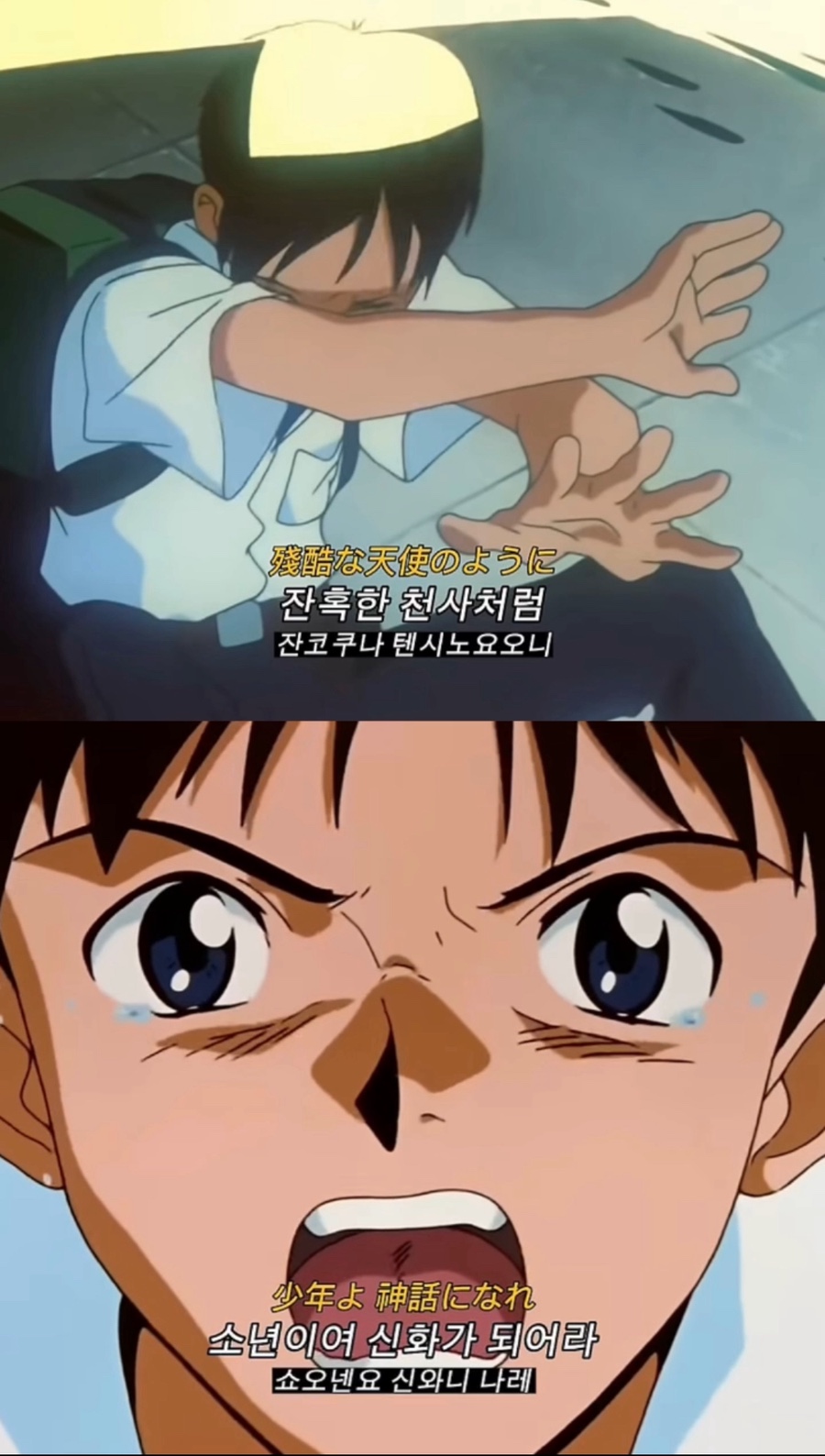 오디디엠 이미지