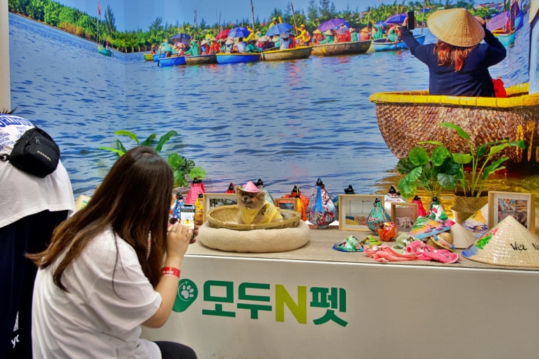 (주)메가투어 이미지