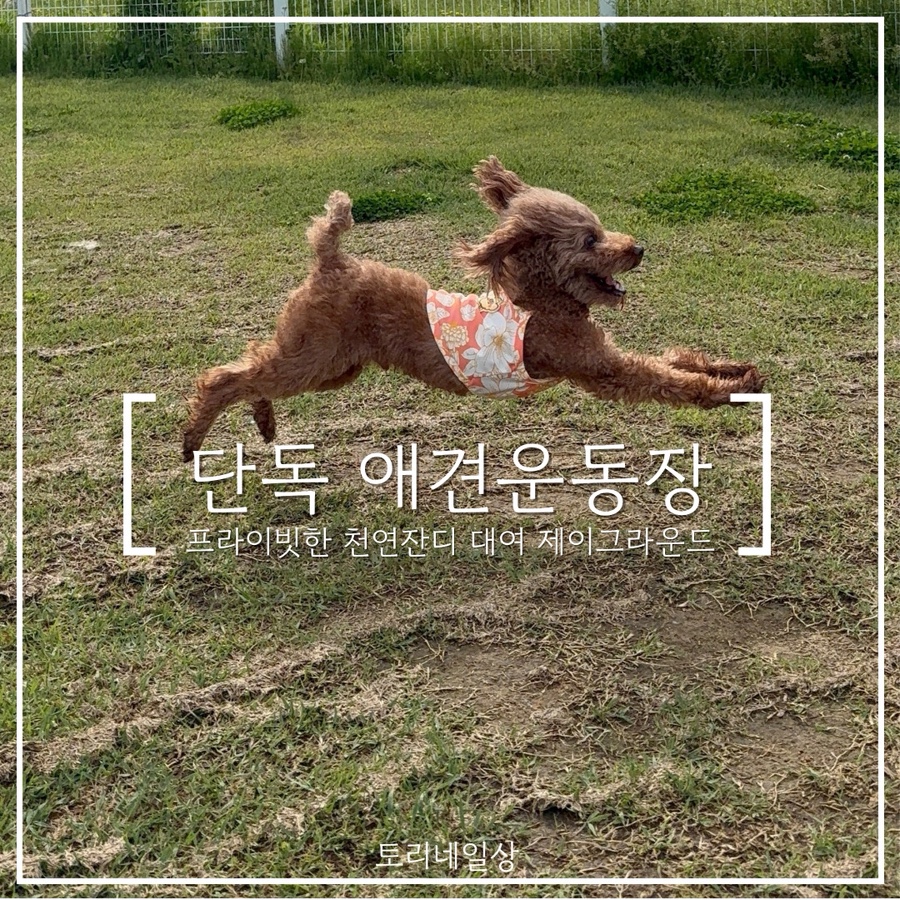 제이그라운드 이미지