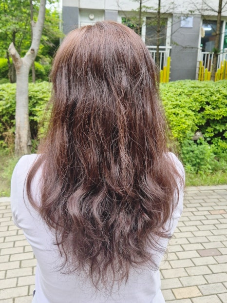 더찰리헤어 이미지