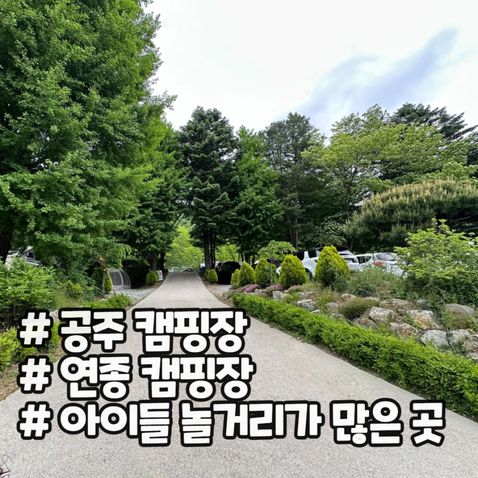 연종 캠핑장 이미지