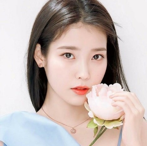 꽃갈피 이미지