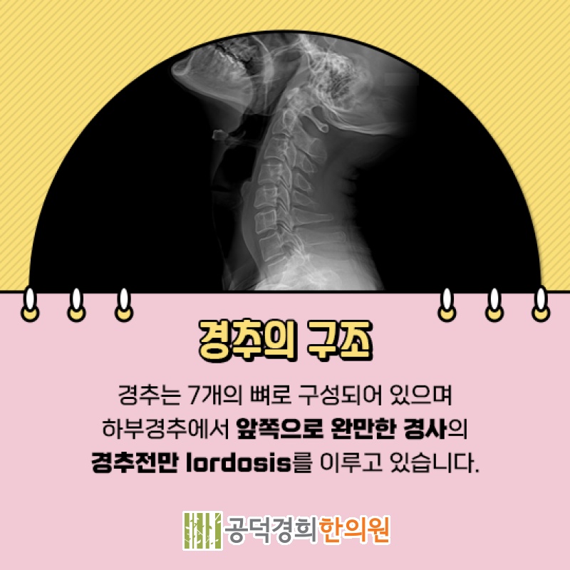 공덕경희한의원 이미지