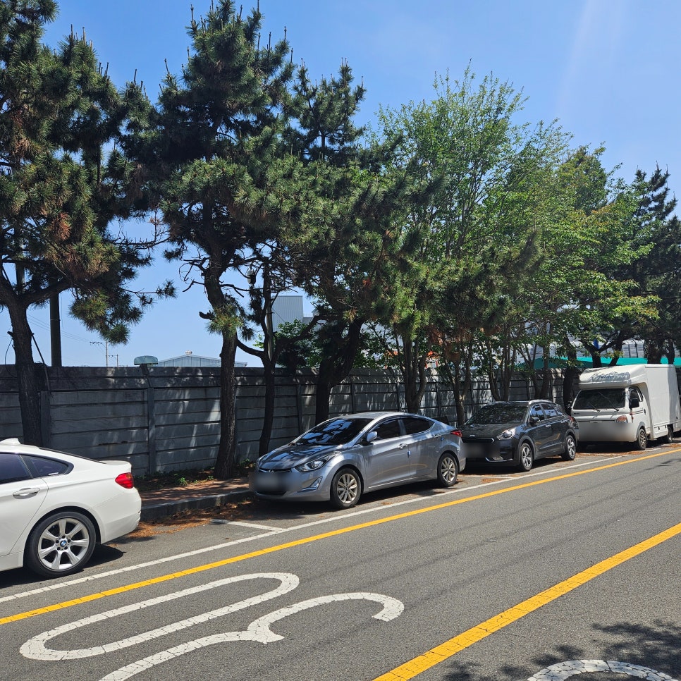해적바다실내낚시터 이미지
