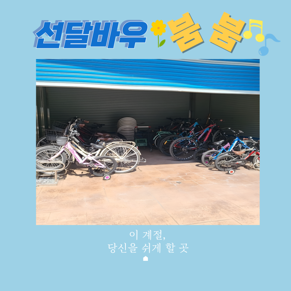 선달바우 이미지