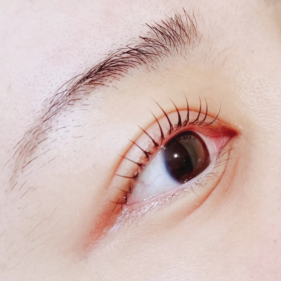 키튼뷰티 이미지