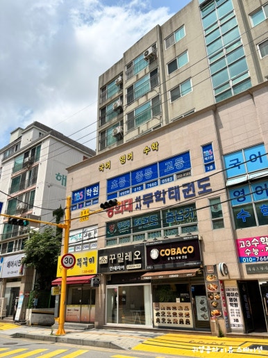 빨강쭈꾸미 사진 4