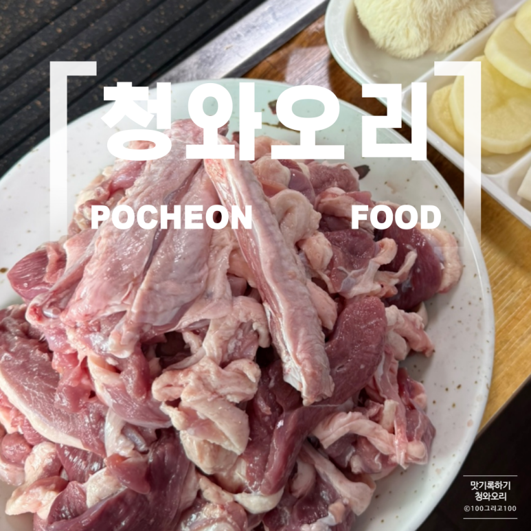 청와오리 이미지