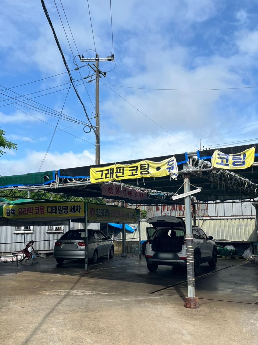 프로카모터스 이미지