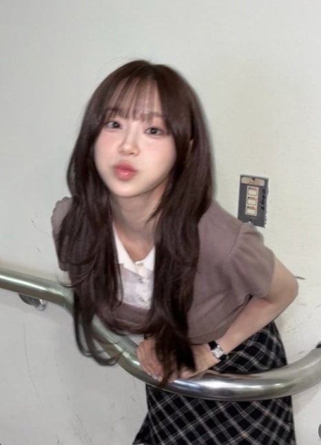 츄헤어 이미지
