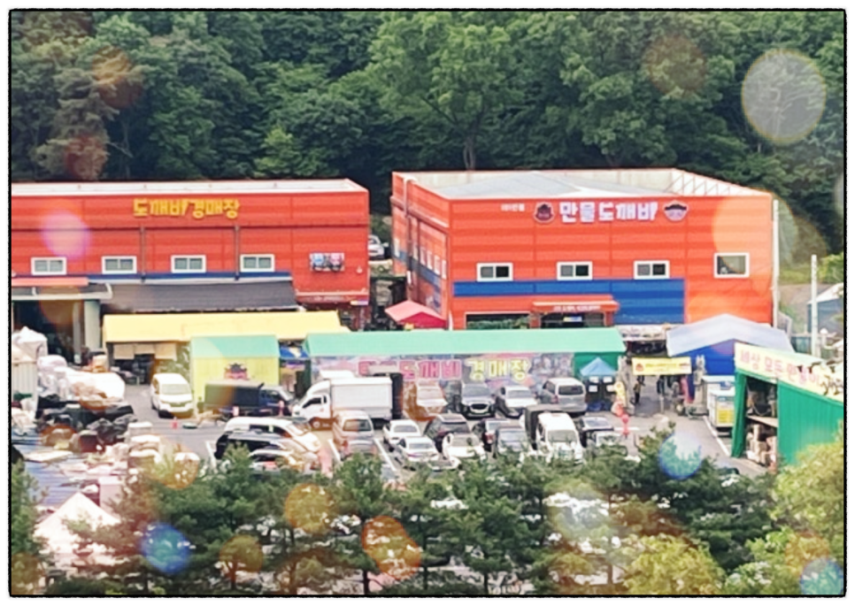중고생활용품경매장 이미지