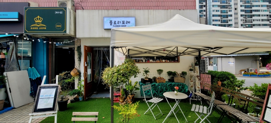 플로리포레 이미지