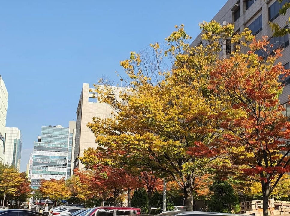 변호사김선진법률사무소 이미지